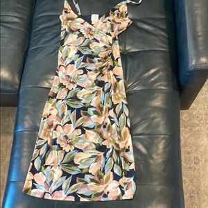 NWOT Joie midi dress
